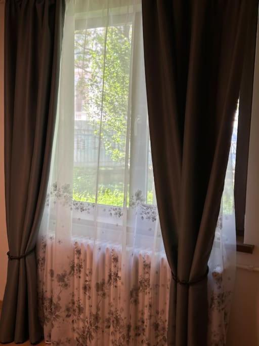 Alea Central Studio Art Museum Craiova Dış mekan fotoğraf